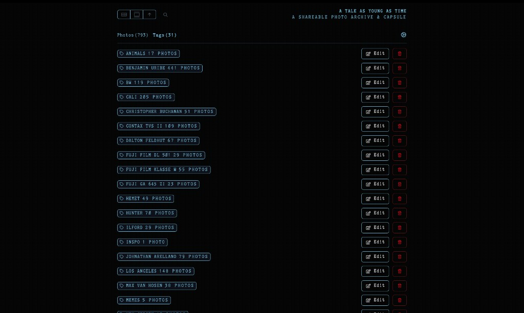 Batch edit tags screen in the A Tale As Young As Time archive